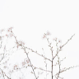 Meet your Posher, Mathilda